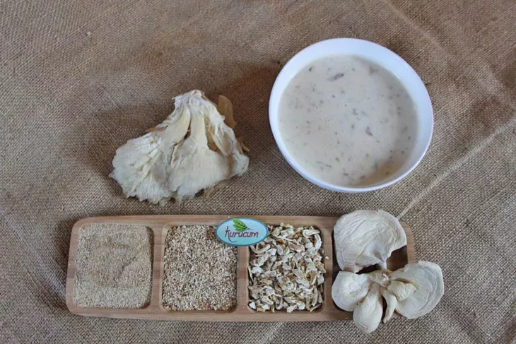 kuru istiridye mantarı-4